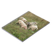 Varkens in een veld notitieboek (Linkerzijde)