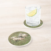 Varkens in een veld onderzetters (Zijkant)