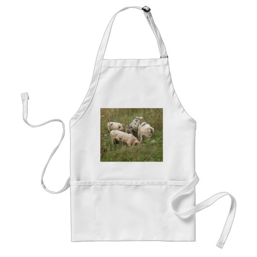 Varkens in een veld schort (Voorkant)