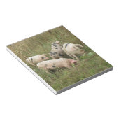 Varkens in een Veldblok Notitieblok (Schuin)