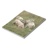 Varkens in een Veldblok Notitieblok (Linkerzijde)