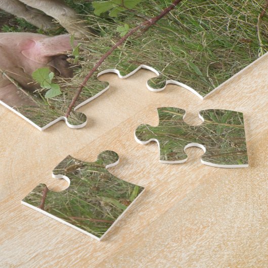 Varkens in een veldpuzzel legpuzzel (Zijkant)