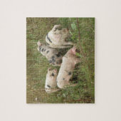 Varkens in een veldpuzzel legpuzzel (Verticaal)
