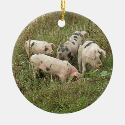 Varkens in een veldversiering keramisch ornament (Voorkant)