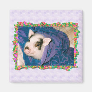 Varkens in towel Wrap Square Magnet
