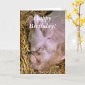 VARKENS KAART (Gele Bloem)