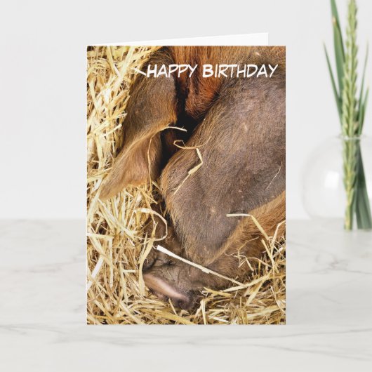 VARKENS KAART (Voorkant)