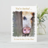 VARKENS KAART (Staand voorkant)