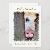 VARKENS KAART (Voorkant / Achterkant)