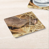 VARKENS KARTONNEN ONDERZETTERS (Schuin)