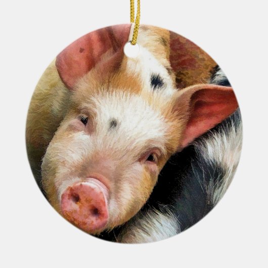 VARKENS KERAMISCH ORNAMENT (Voorkant)