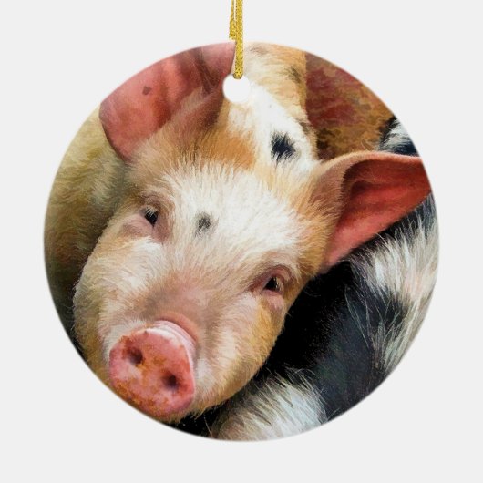 VARKENS KERAMISCH ORNAMENT (Achterkant)