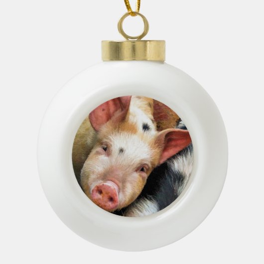 VARKENS KERAMISCHE BAL ORNAMENT (Voorkant)