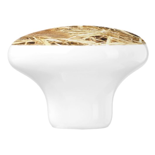 VARKENS KERAMISCHE KNOP (Zijkant)