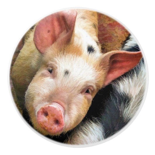 VARKENS KERAMISCHE KNOP (Voorkant)