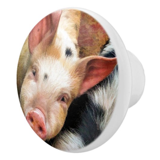 VARKENS KERAMISCHE KNOP (Rechts)