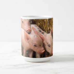 Varkens Koffiemok