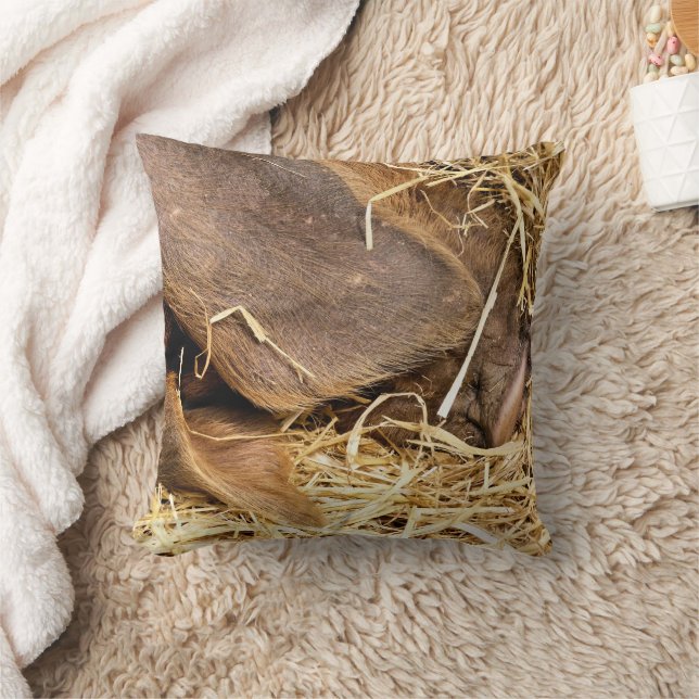 VARKENS KUSSEN (Deken)