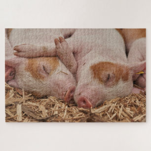 Varkens Legpuzzel