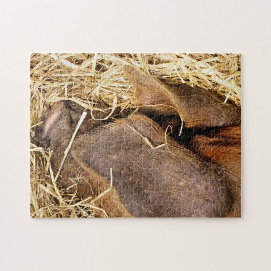 VARKENS LEGPUZZEL (Horizontaal)