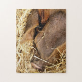 VARKENS LEGPUZZEL (Verticaal)