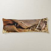 VARKENS LICHAAMSKUSSEN (Achterkant)