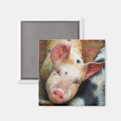 VARKENS MAGNEET (Voorkant / Achterkant)