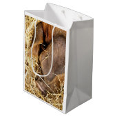 VARKENS MEDIUM CADEAUZAKJE (Achterkant Gekanteld)