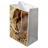 VARKENS MEDIUM CADEAUZAKJE (Voorkant Gekanteld)