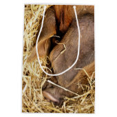 VARKENS MEDIUM CADEAUZAKJE (Achterkant)