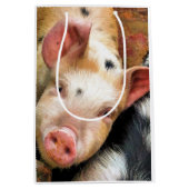 VARKENS MEDIUM CADEAUZAKJE (Voorkant)