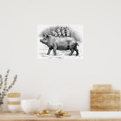 Varkens met biggen poster (Keuken)