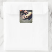 Varkens, met een knuffel vierkante sticker (Tas)