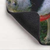 Varkens met zonnebril en Bandana Muismat (Hoek)