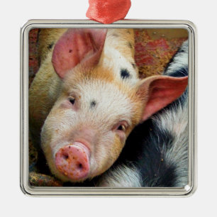 VARKENS METALEN ORNAMENT