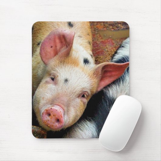 VARKENS MUISMAT (Met muis)