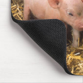 Varkens Muismat (Hoek)
