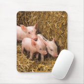 Varkens Muismat (Met muis)