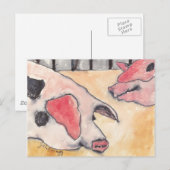 Varkens op de provinciale beurs briefkaart (Voorkant / Achterkant)