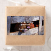 Varkens Paar Paar Piggies Etiket (Insitu)