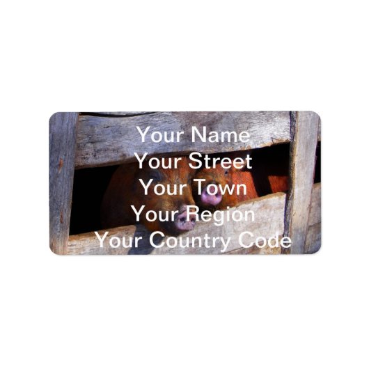 Varkens Paar Paar Piggies Etiket (Voorkant)