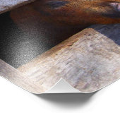 Varkens Paar Paar Piggies Foto Afdruk (Hoek)