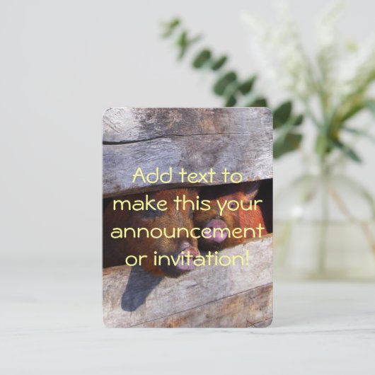 Varkens Paar Paar Piggies Kaart (Staand voorkant)