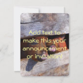 Varkens Paar Paar Piggies Kaart (Voorkant)