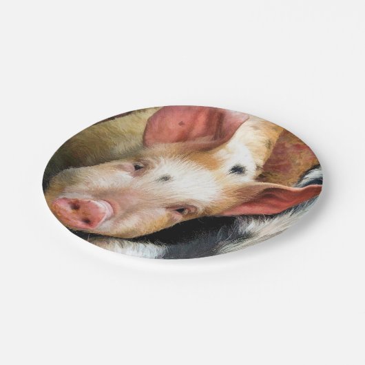 VARKENS PAPIEREN BORDJE (Gekanteld)