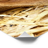 VARKENS PERFECT POSTER (Hoek)