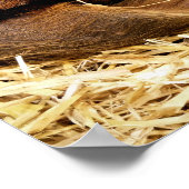 VARKENS POSTER (Hoek)