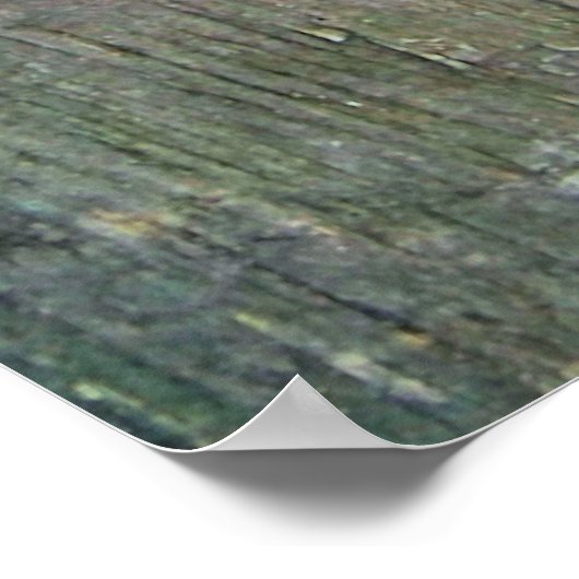 VARKENS POSTER (Hoek)