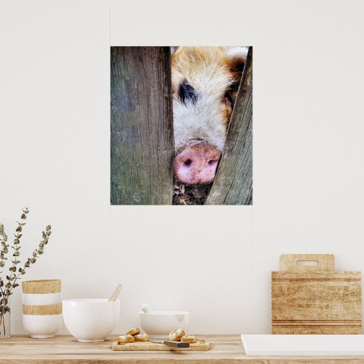 VARKENS POSTER (Keuken)
