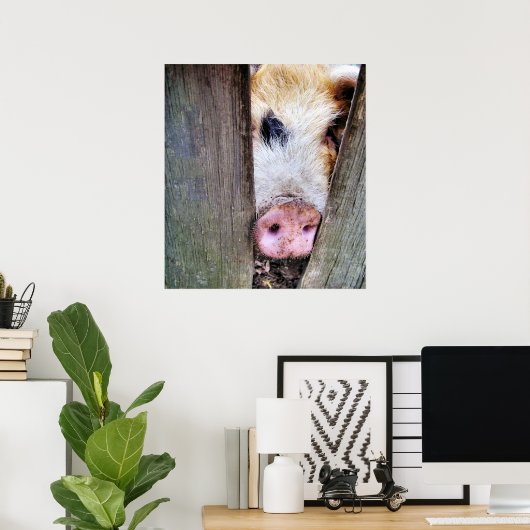 VARKENS POSTER (Thuiskantoor)